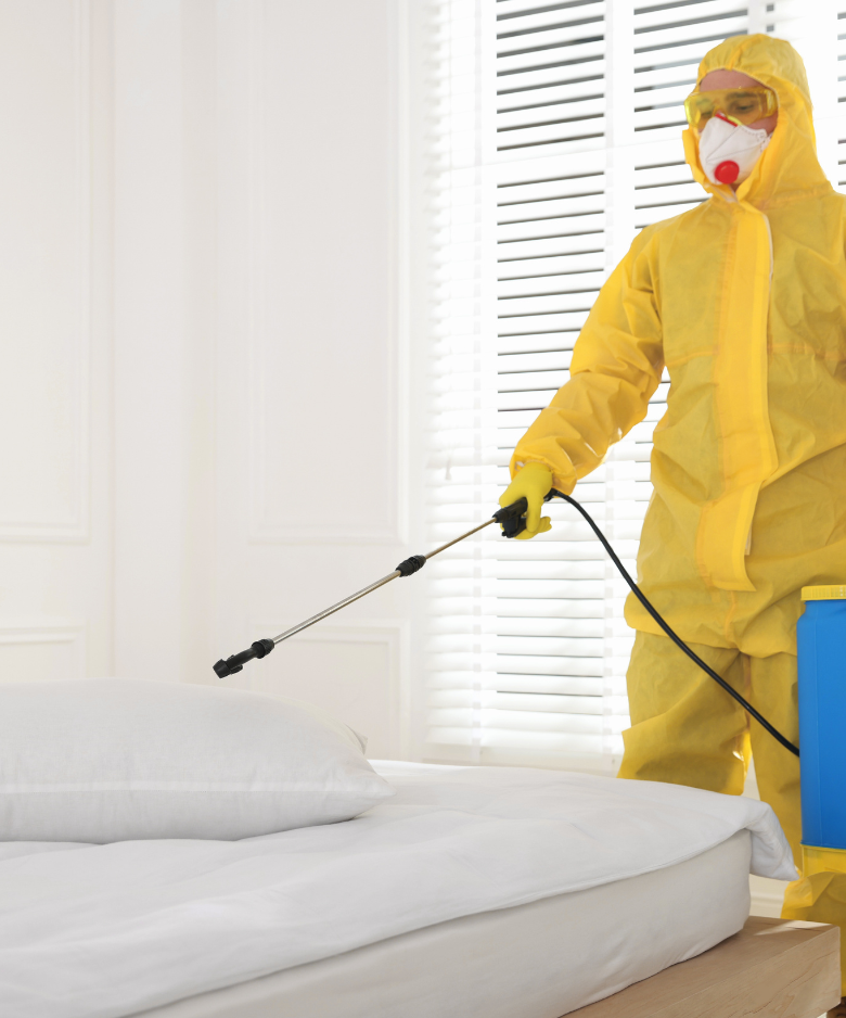 Professional Pest Control Team in Fullarton